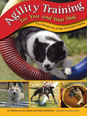 cover image of Agility Training for You and Your Dog